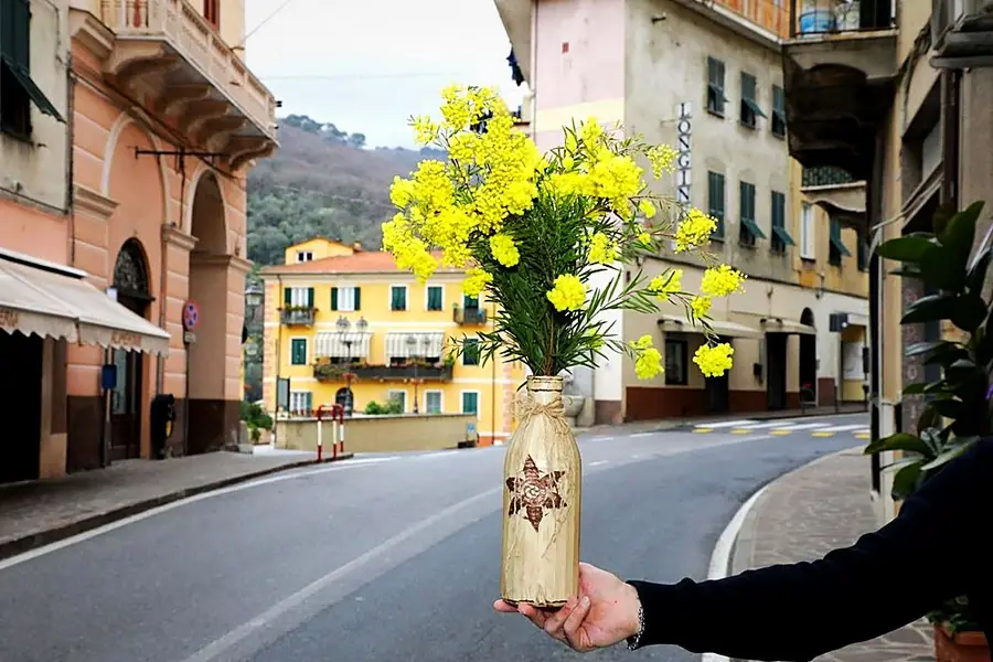 Bottiglia decorata con mimosa, tenuta in mano nella via di Pontedassio