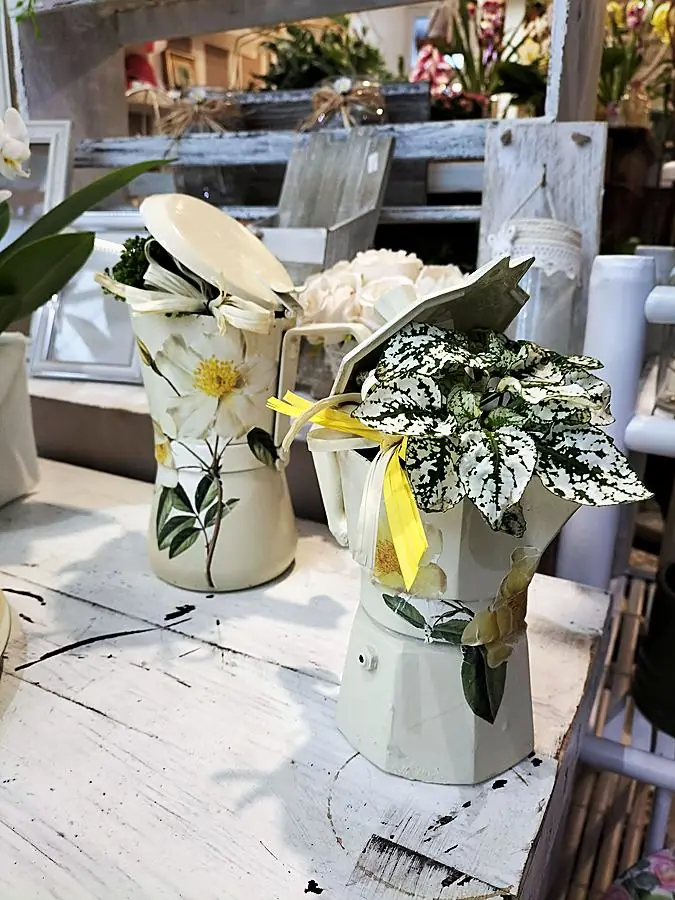 Moka trasformate in vasi con fiori e piantine, decorate con fiori decoupage