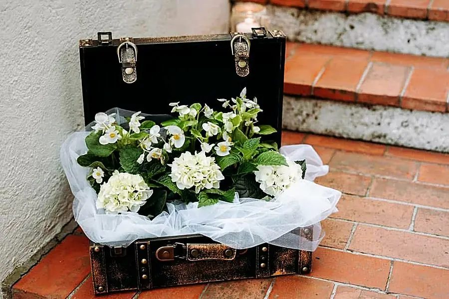Valigia nera aperta con ortensie bianche, begonie e tulle sui gradini in cotto